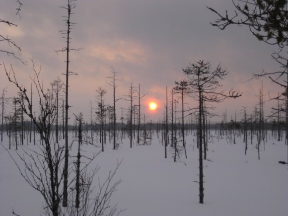 Puolanka06_1.jpg